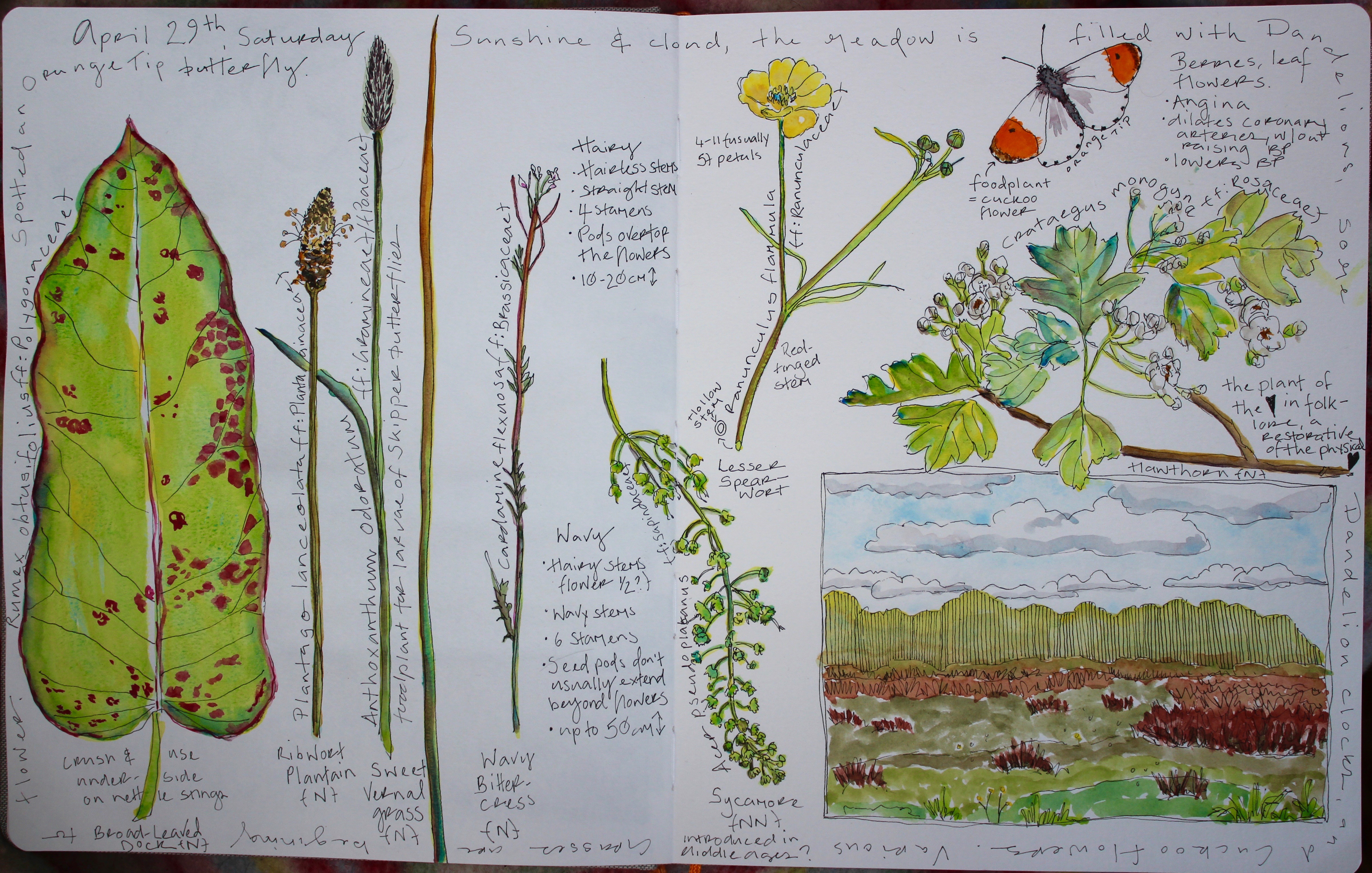26 Nature Journals – Literacy with Miss P