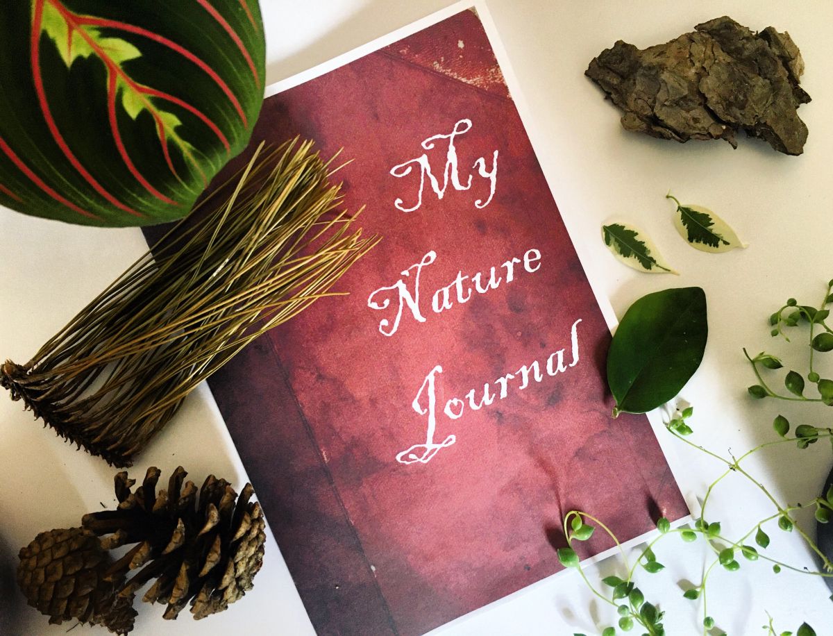 10 Nature Journals – Literacy with Miss P